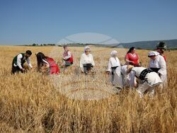 Село Поляново - жътвена кампания - откриване