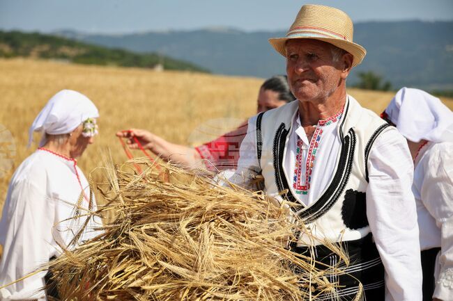 В землището между айтоските села Поляново и Пирне беше поставено началото на жътвената кампания в Бургаска област