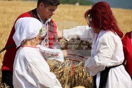 Село Поляново - жътвена кампания - откриване