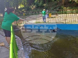 Снимка: Община Шумен