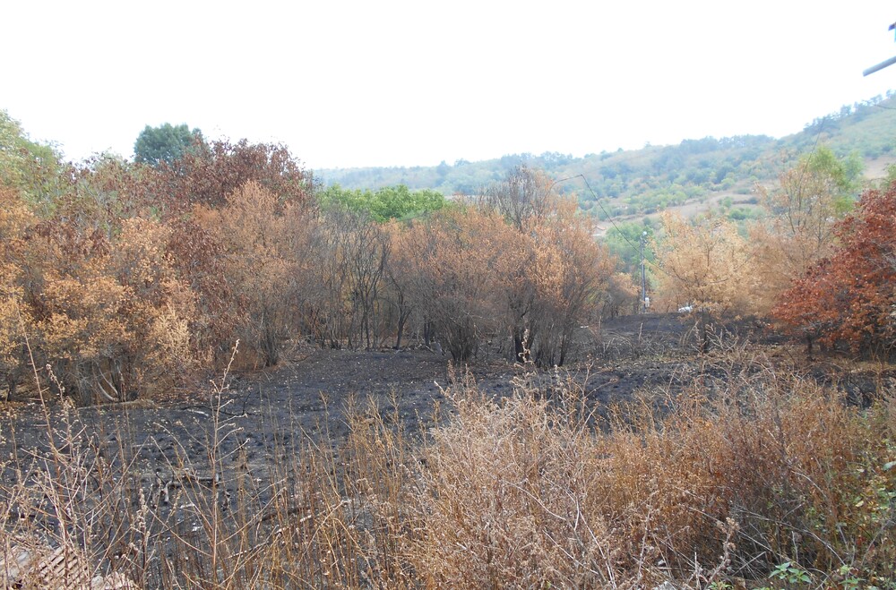 Община Стара Загора припомня съществуващите забрани за пожароопасни дейности
