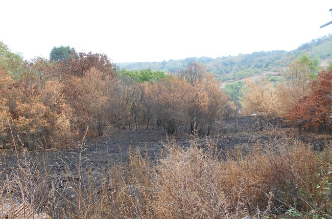 Община Стара Загора припомня съществуващите забрани за пожароопасни дейности