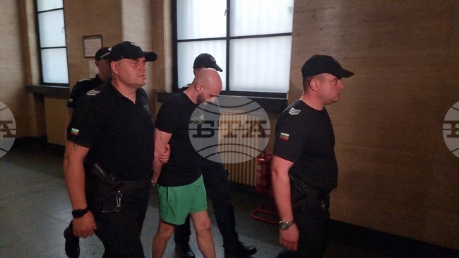 Съдът остави окончателно в ареста Красимир Георгиев, обвинен заедно с Габриела Сашова за насилие над животни