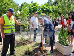 Благоевград - дом за стари хора - ремонт - начало