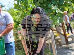 Благоевград - дом за стари хора - ремонт - начало