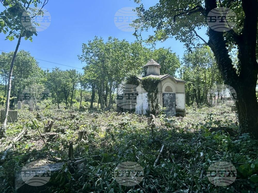 Община Силистра е започнала разчистването на стария гробищен парк в града