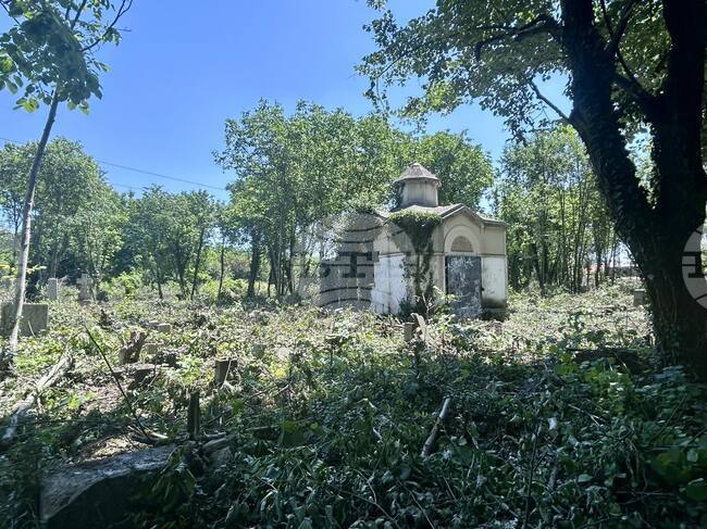 Община Силистра е започнала разчистването на стария гробищен парк в града
