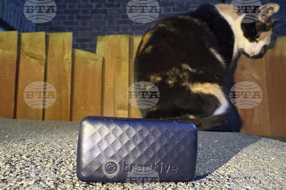 One Tech Tip Tracking Your Pet