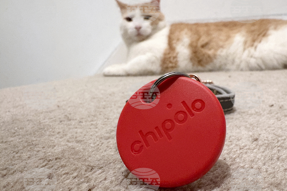 One Tech Tip Tracking Your Pet