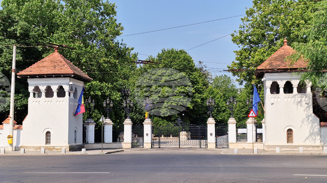 Социалдемократическата партия на Румъния обяви пред президента Никушор Дан, че е готова да поеме управлението на страната