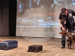 Свиленград - Агенция "Митници" и НАП - кампания