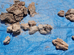 Варна - археология - проучвания