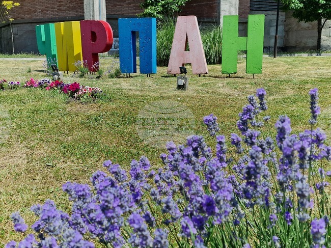 Chirpan Hosts International Lavender Festival 2025