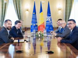 Румъния - Никушор Дан - политически консултации