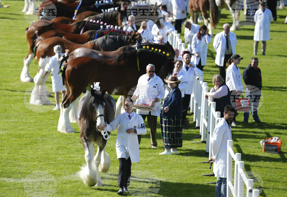 Scotland Royal Highland Show