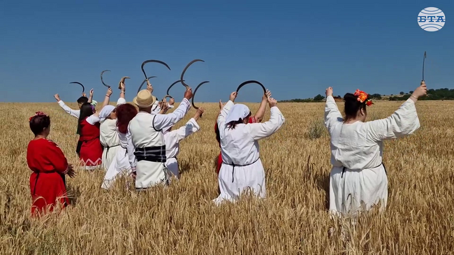 В землището между айтоските села Поляново и Пирне беше поставено началото на жътвената кампания в Бургаска област