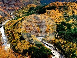 Снимка: Община Ардино