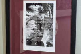 Варна - галерия „Ларго“ - Петър Лазаров - изложба