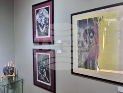 Варна - галерия „Ларго“ - Петър Лазаров - изложба