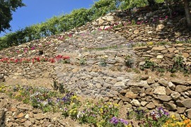 Етно селище Долене-международни награди
