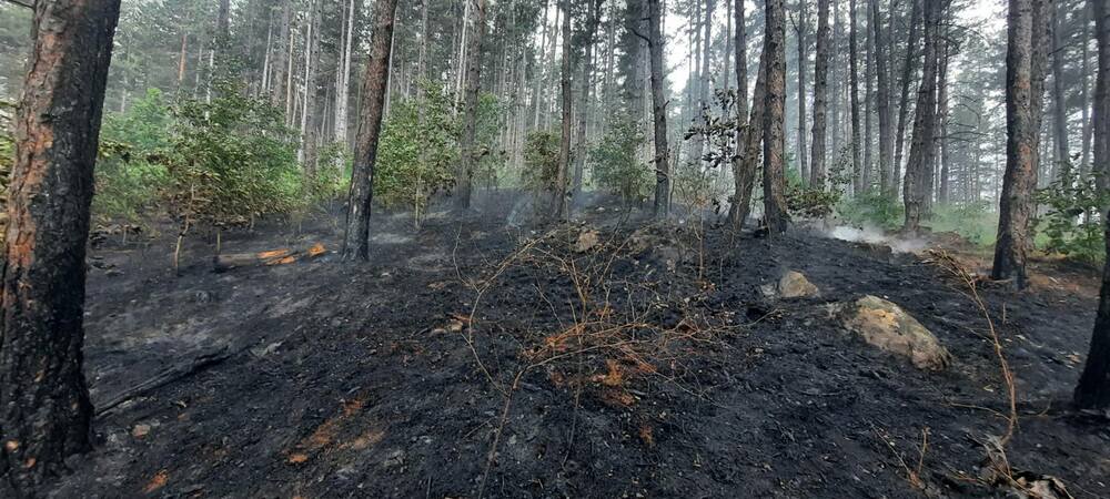 Овладян е пожарът, възникнал в горски масив над Велинград