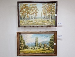 Монтана - Стефан Кирков - изложба