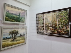 Монтана - Стефан Кирков - изложба