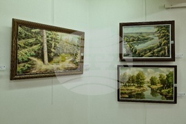 Монтана - Стефан Кирков - изложба