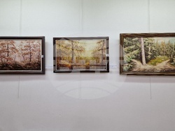 Монтана - Стефан Кирков - изложба