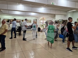 Монтана - Стефан Кирков - изложба