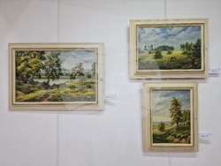 Монтана - Стефан Кирков - изложба