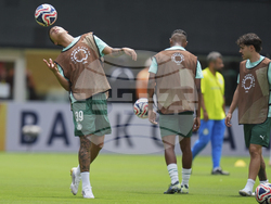 CWC Palmeiras Al Ahly Soccer