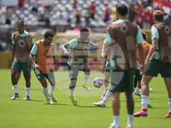 CWC Palmeiras Al Ahly Soccer