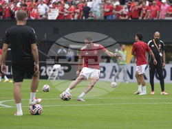 CWC Palmeiras Al Ahly Soccer