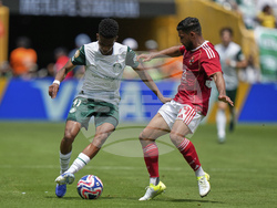 CWC Palmeiras Al Ahly Soccer