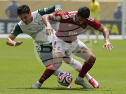 APTOPIX CWC Palmeiras Al Ahly Soccer