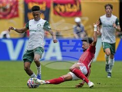 APTOPIX CWC Palmeiras Al Ahly Soccer