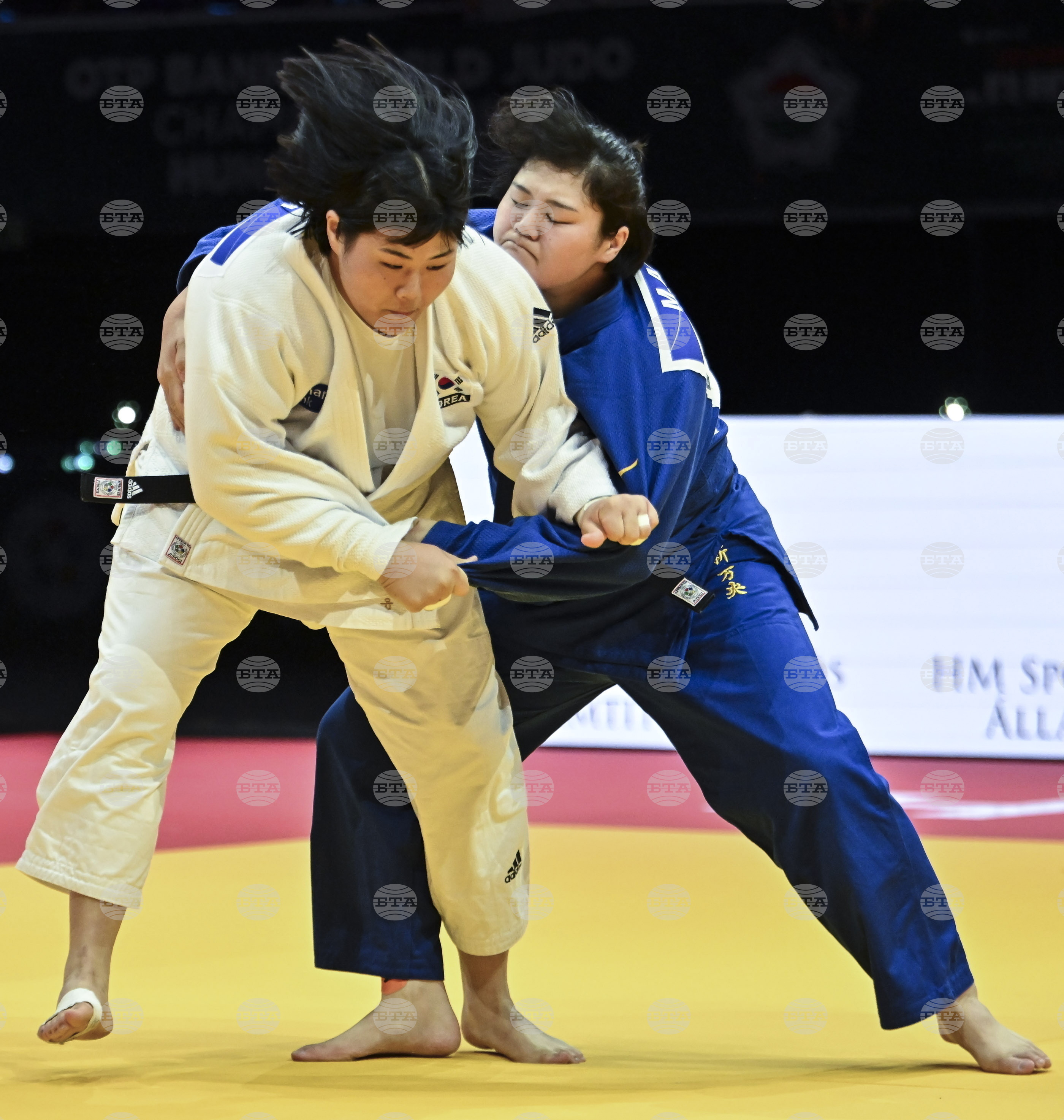 Hungary World Judo Championships