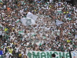 CWC Palmeiras Al Ahly Soccer