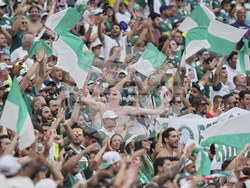 CWC Palmeiras Al Ahly Soccer