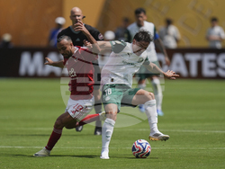 CWC Palmeiras Al Ahly Soccer