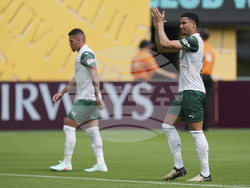CWC Palmeiras Al Ahly Soccer