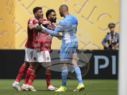 CWC Palmeiras Al Ahly Soccer