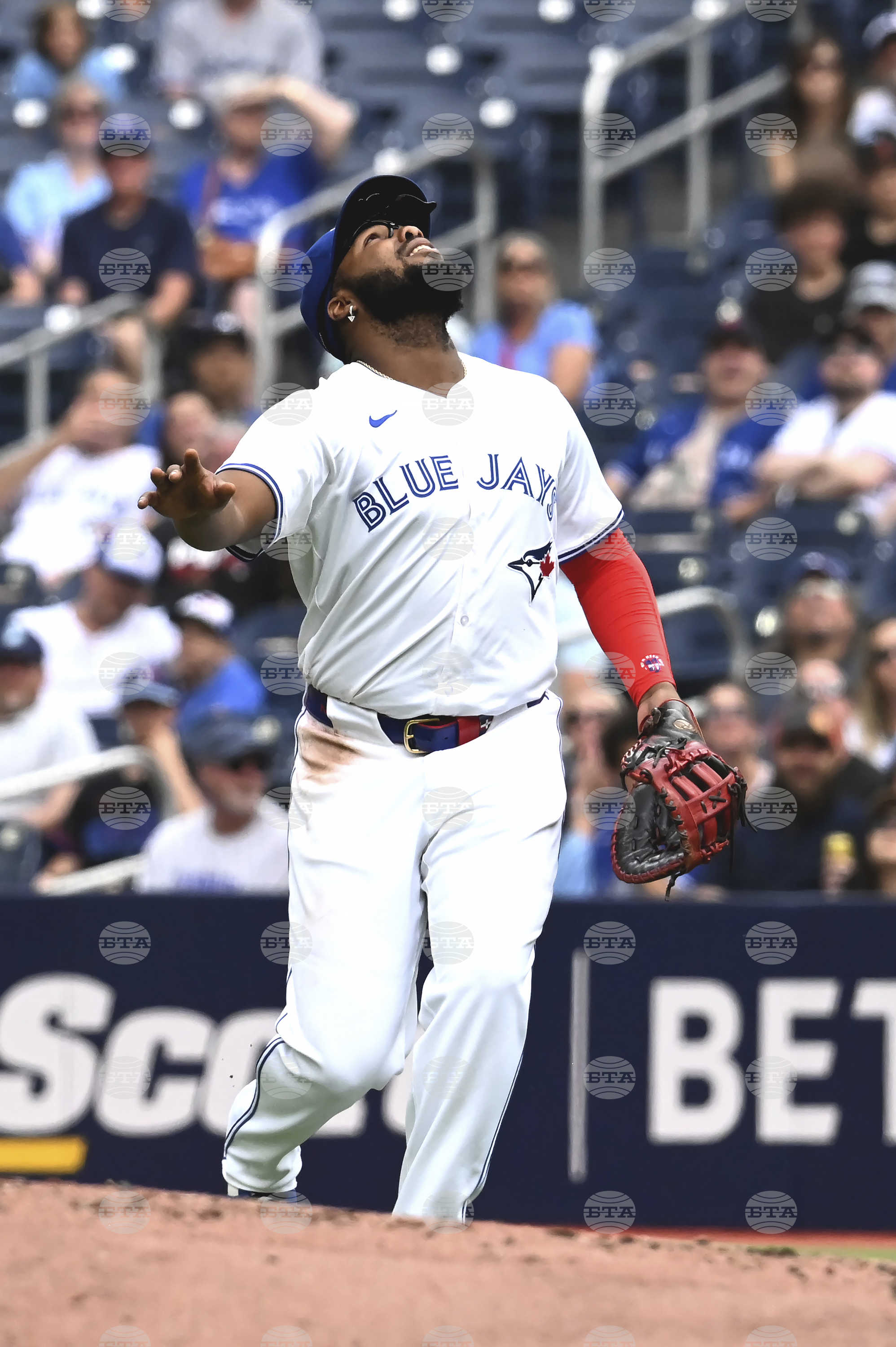 Diamondbacks Blue Jays Baseball