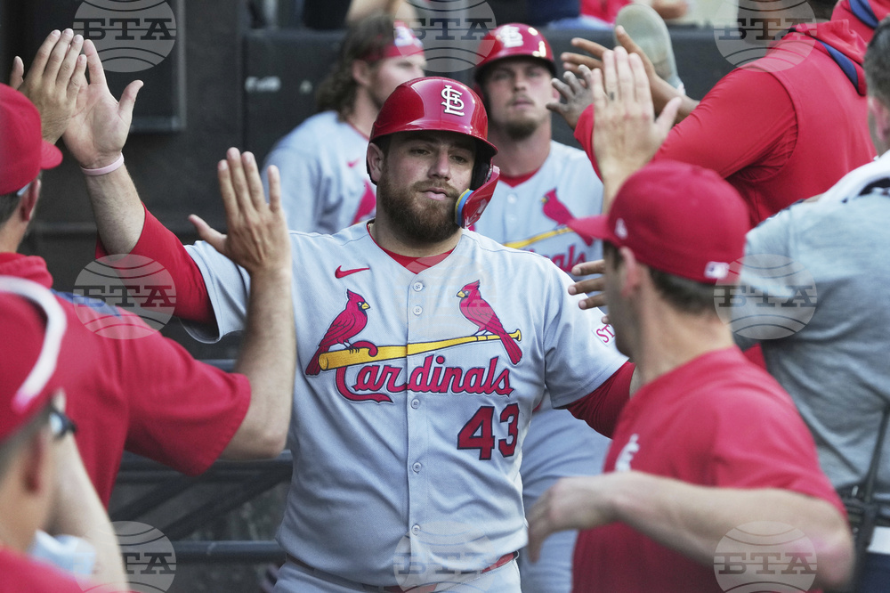 Cardinals White Sox Baseball