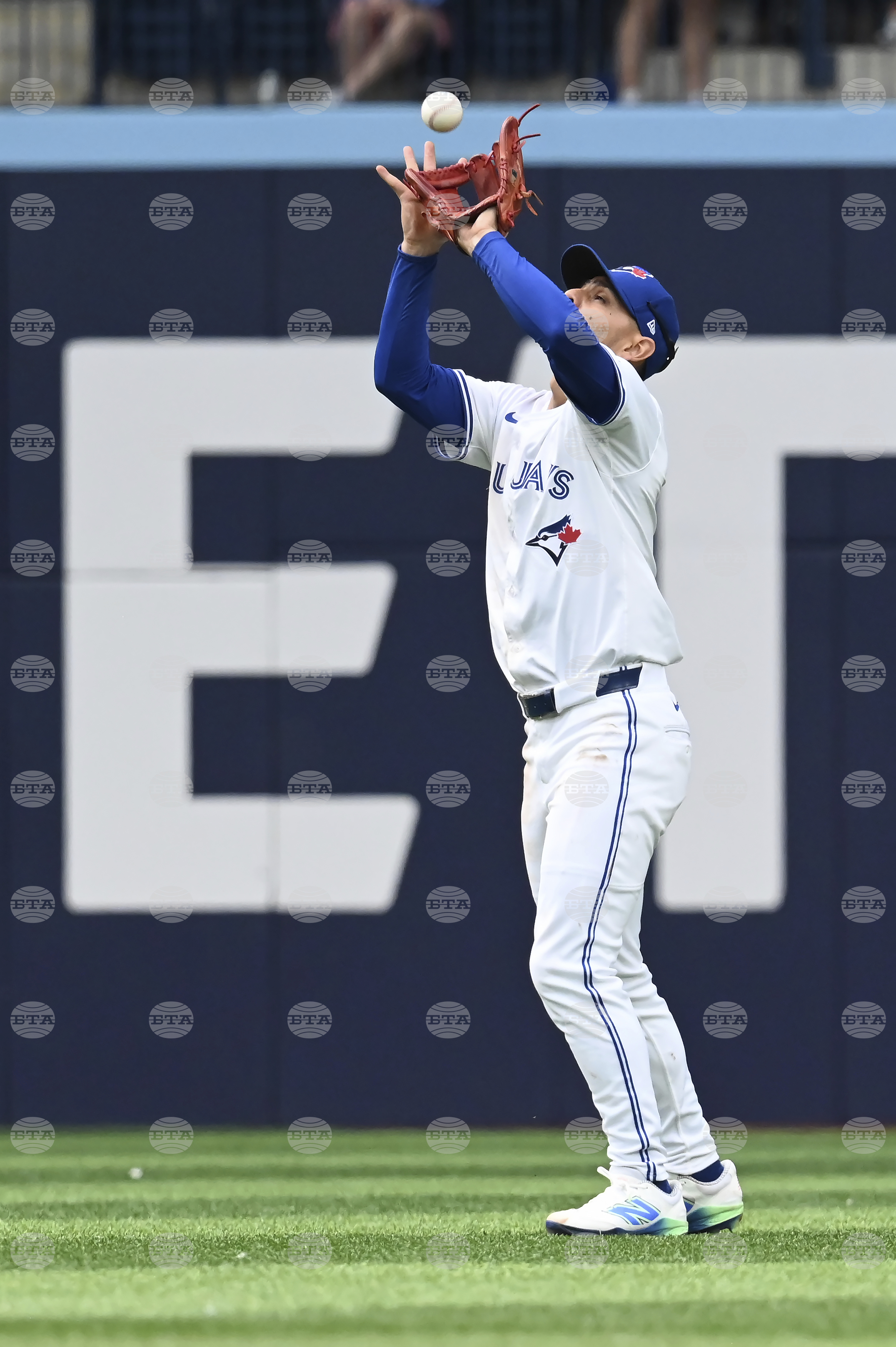 Diamondbacks Blue Jays Baseball