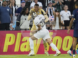 CWC PSG Botafogo Soccer