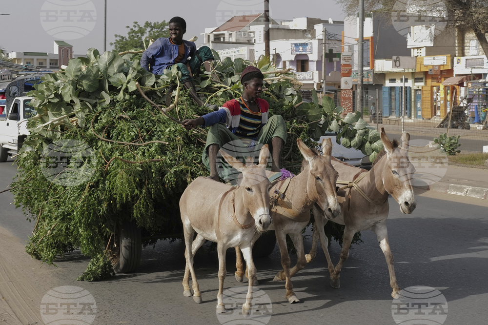 Senegal Daily Life