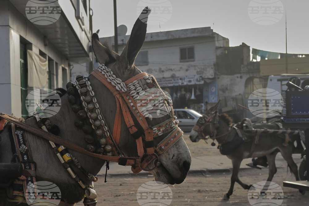 Senegal Daily Life