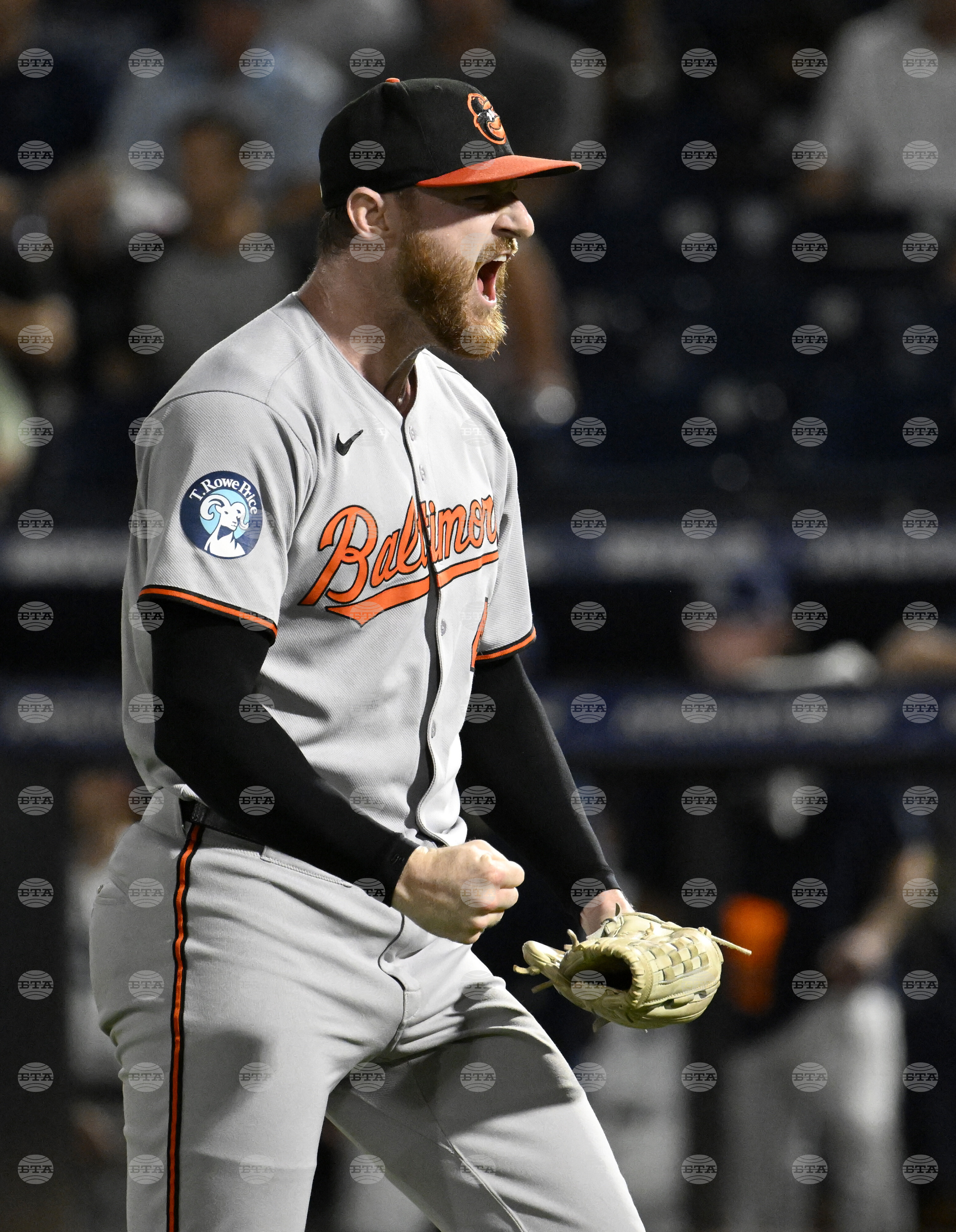 Orioles Rays Baseball